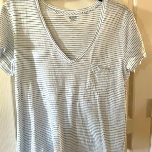 Madewell V-Neck Stripe Tee.  White with Blue Stripes.